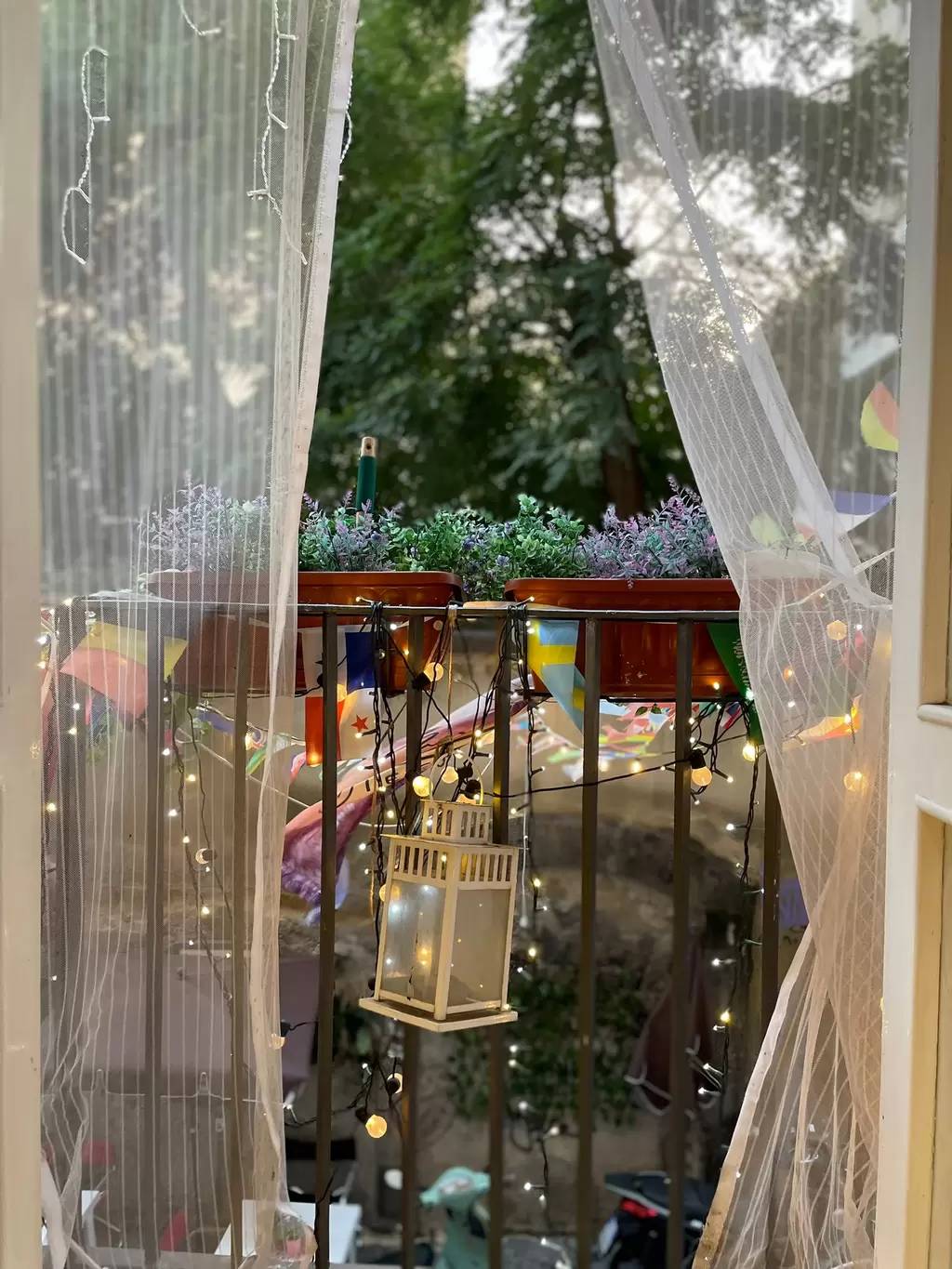 Immagine del ristorante 2470